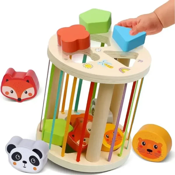 Cilindro De Encaje Elástico Montessori De Madera