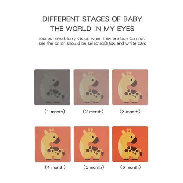 SM-105-05.webp Tarjetas Visuales Baby Vision 20 Tarjetas Bebés 12-36