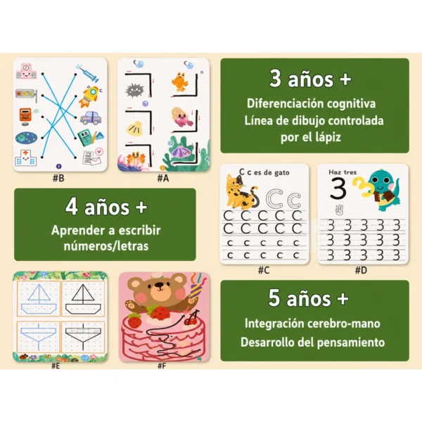 Libro Reutilizable Grafomotricidad Montessori Infantil Oso